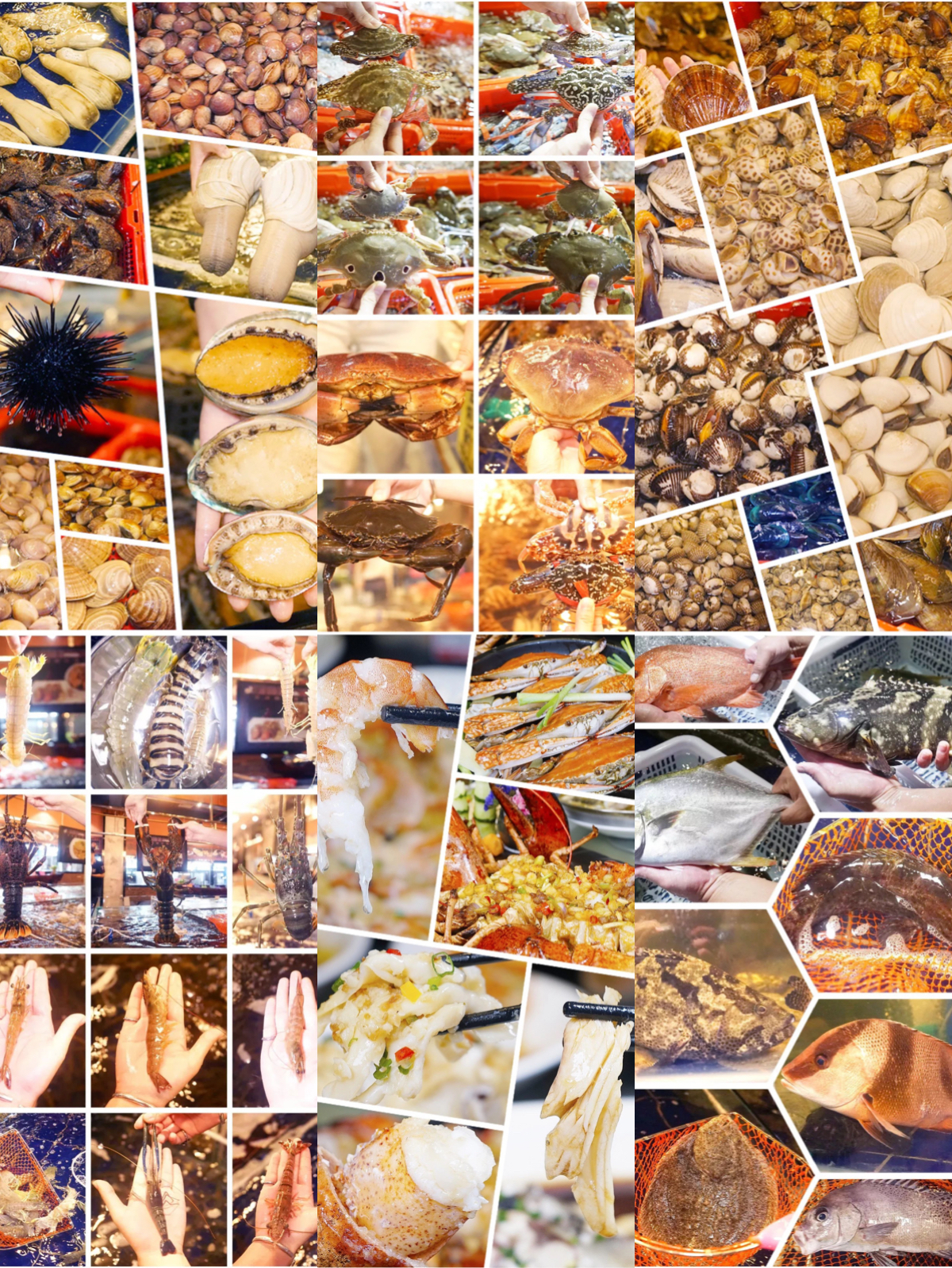 东莞虎门椰林海鲜码头,椰林8号海鲜码头万江