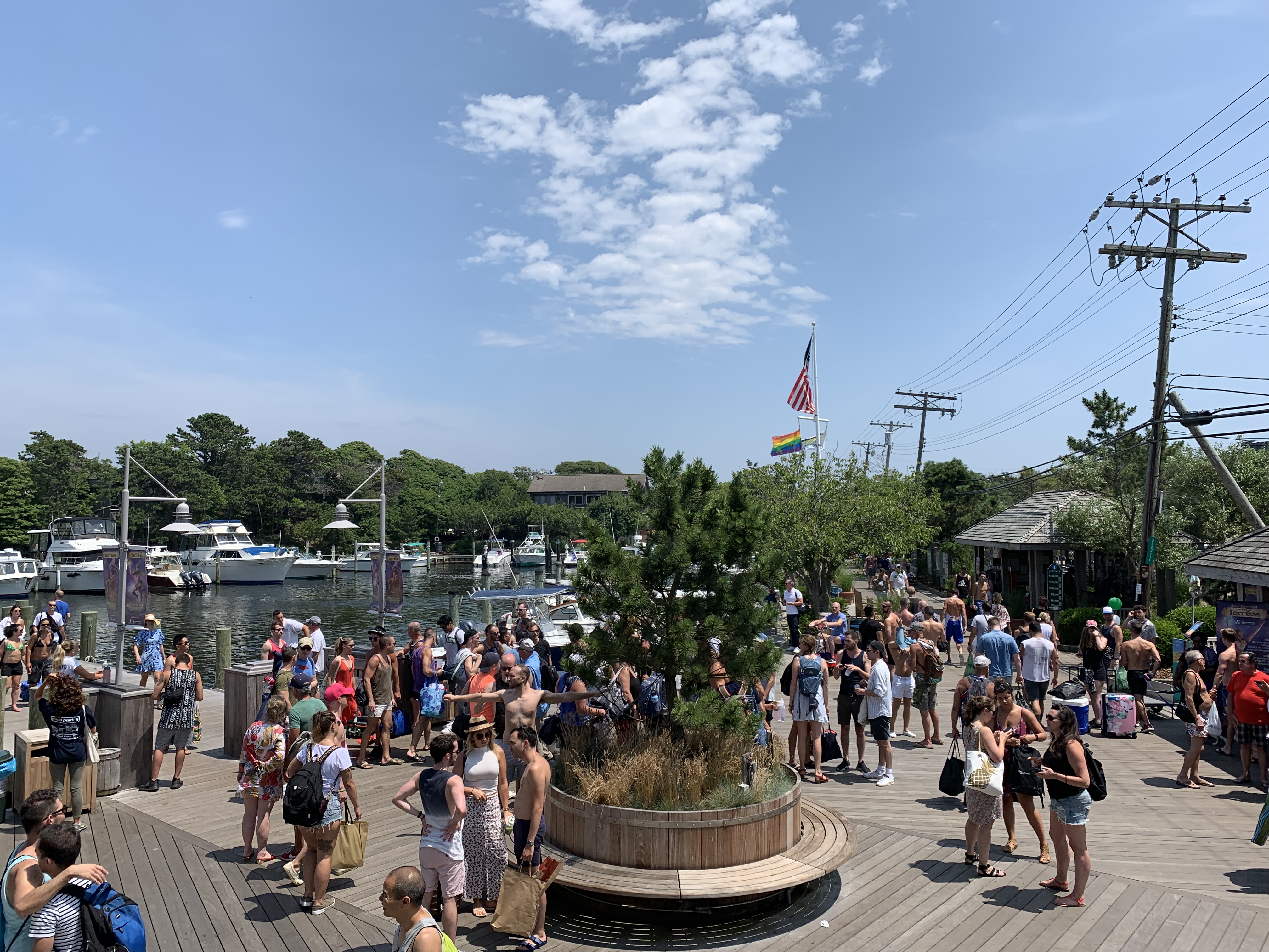 老张讲美国华人,老张说美国留学