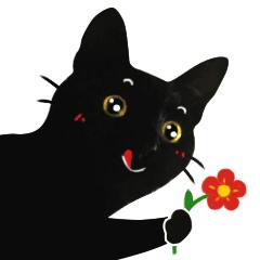 黑猫是不是特别的稀有,黑猫真的看不清吗