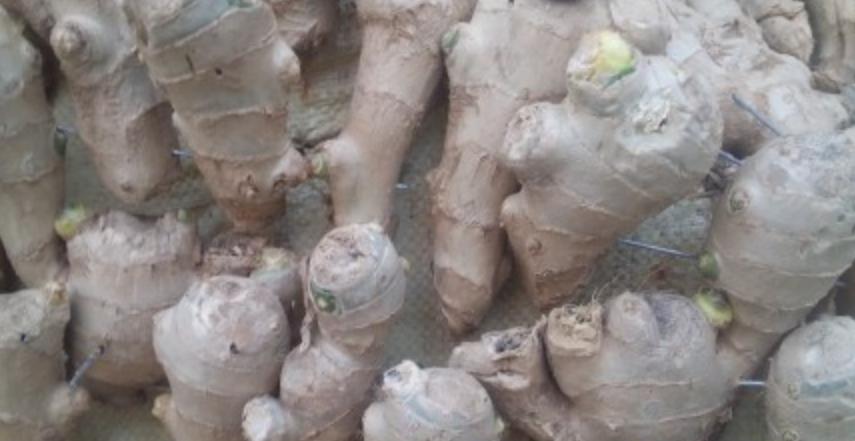 到山东不会饿着你,到山东怎么能不吃煎饼和大馒头呢