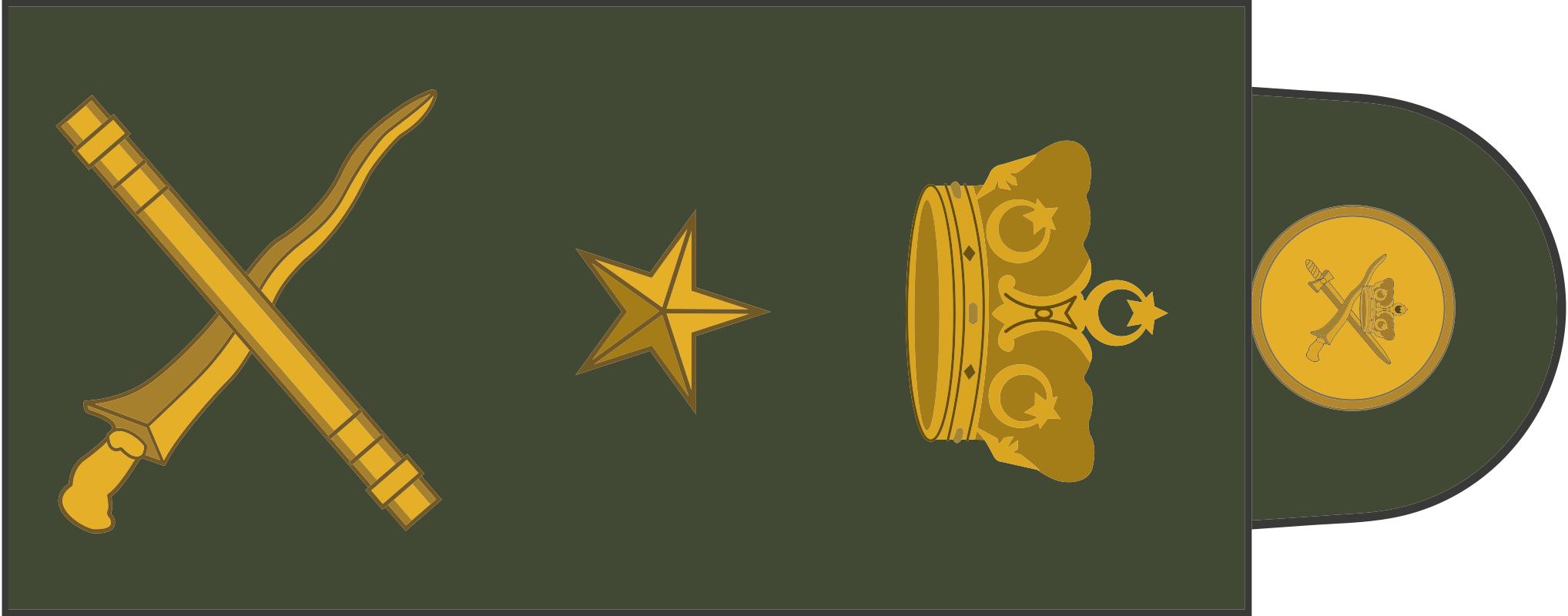 各国军衔标识韩国,马来西亚军衔等级对照表