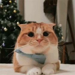 这里的痛,竟然让14年逃犯宁愿被抓也不愿意忍!