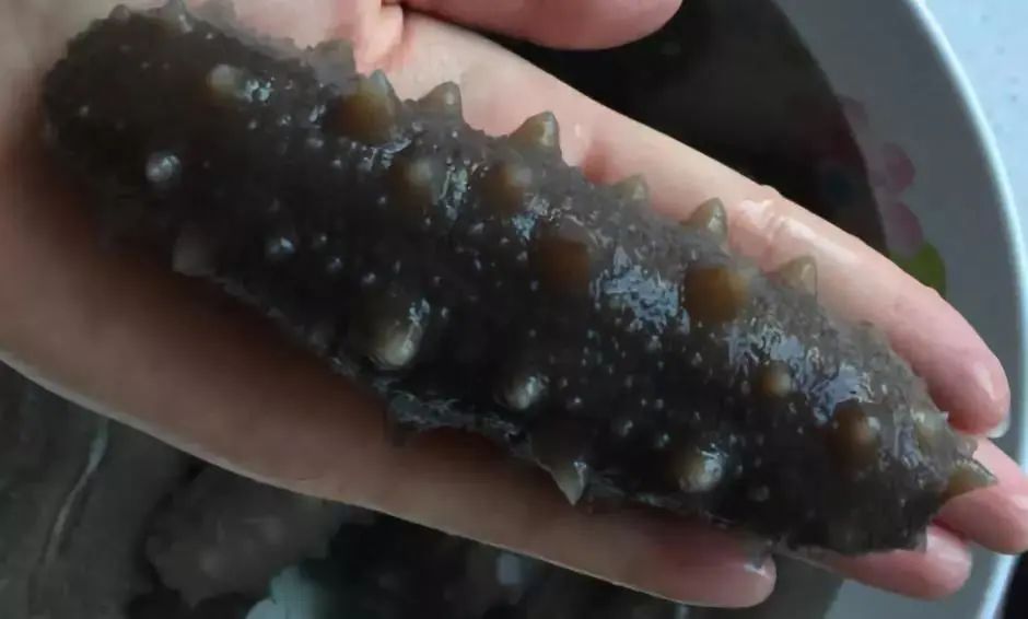 职业打假人花10万买问题,职业打假海参赔偿案例