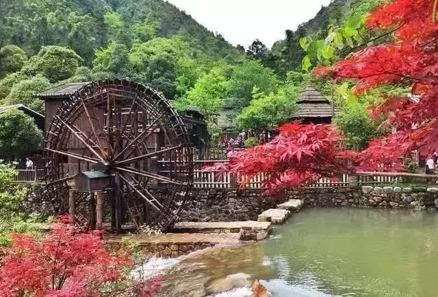 南国仙境姑婆山,姑婆山从南国仙山到山顶要多久
