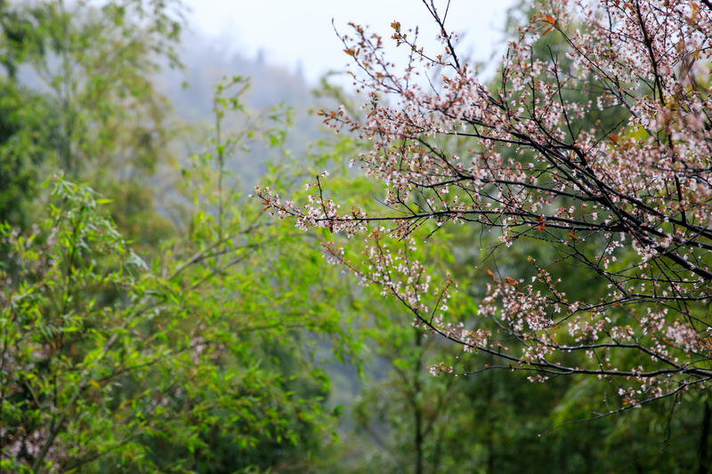 南昌月亮湾一日游最佳攻略,南昌月亮湾旅游攻略和自驾游攻略