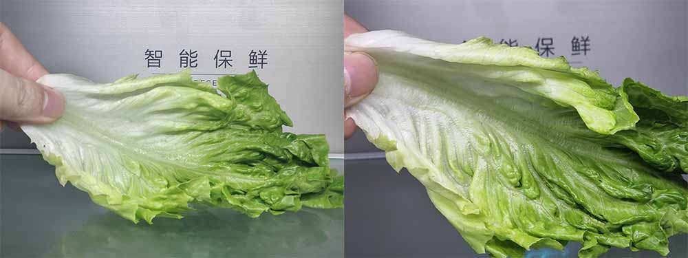 一级能效美的446冰箱,美的519升对开冰箱深度评测