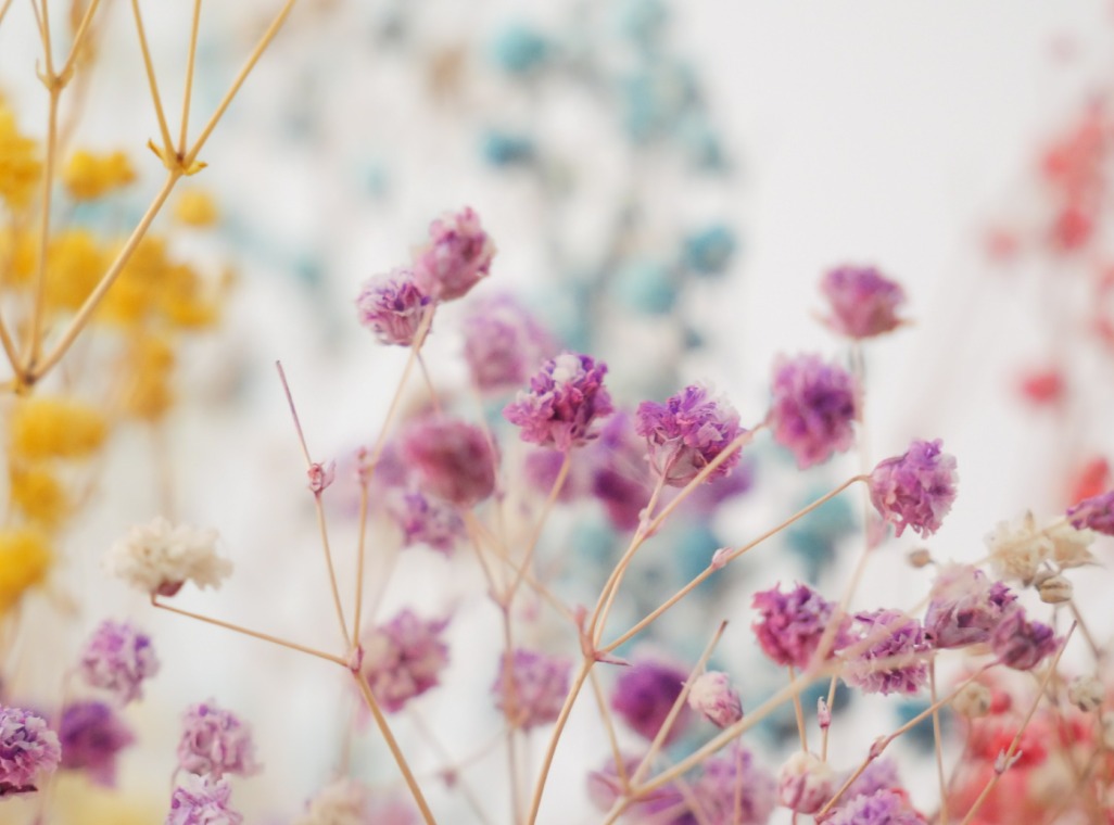 松下视频微单g95d值得买吗,松下微单g95操作教程