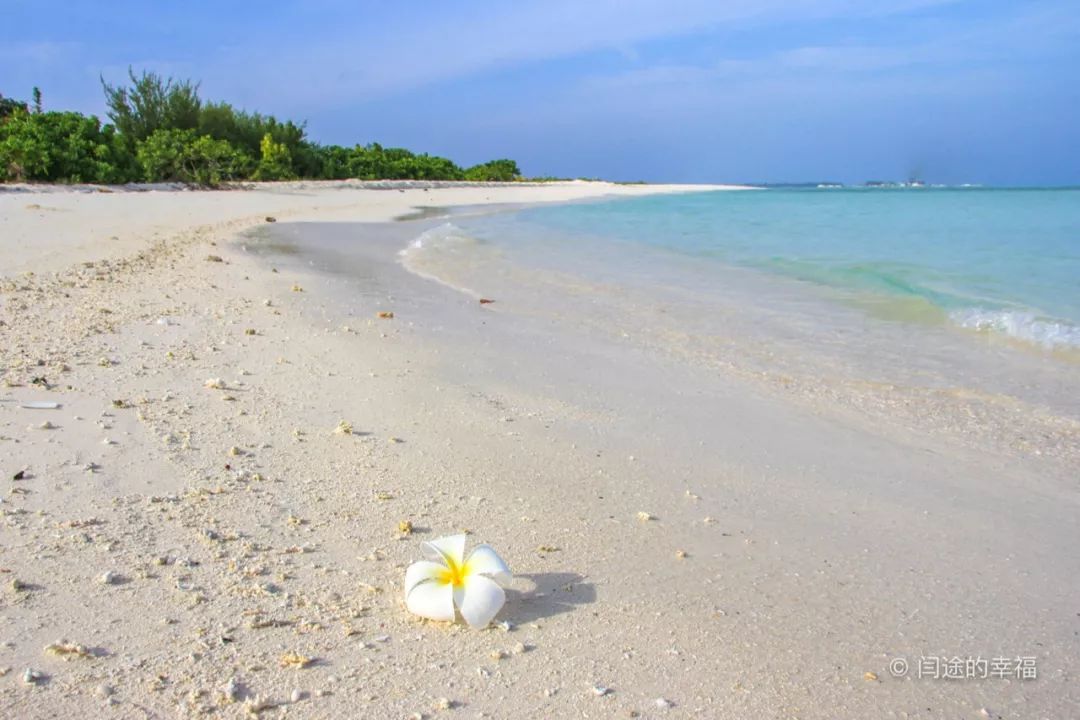 去马尔代夫居民岛要注意什么,马尔代夫不同岛屿的体验