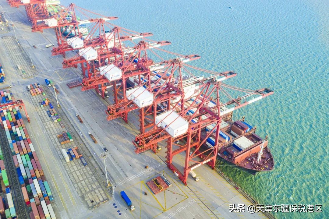 中外海运龙头东疆“箱”遇，达飞陆通落地