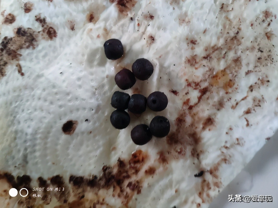 星月抹橄榄油,星月抹油多久吸收