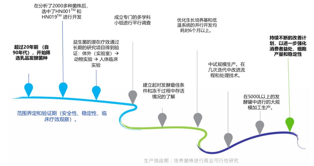 细数20年益生菌研究史，这家新西兰乳品巨头开始谋划新战略