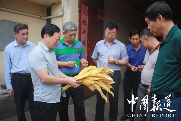 山西省垣曲县金叶烤烟购销有限公司发展烟叶种植助力脱贫攻坚