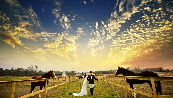 1130是什么星座,1134是什么星座