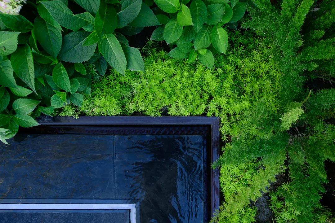 成都新力郦园,成都双流新力郦园设计