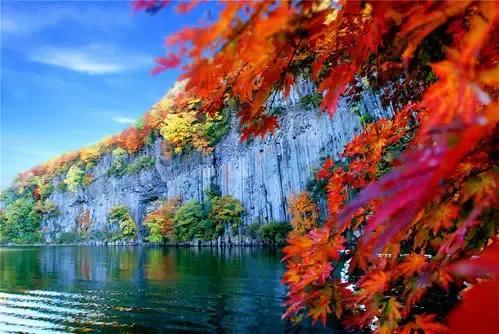 微商鸡汤,微商鸡汤洗脑