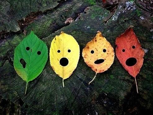 英语教师课堂教学用的口语,幼儿老师英语课堂常用语