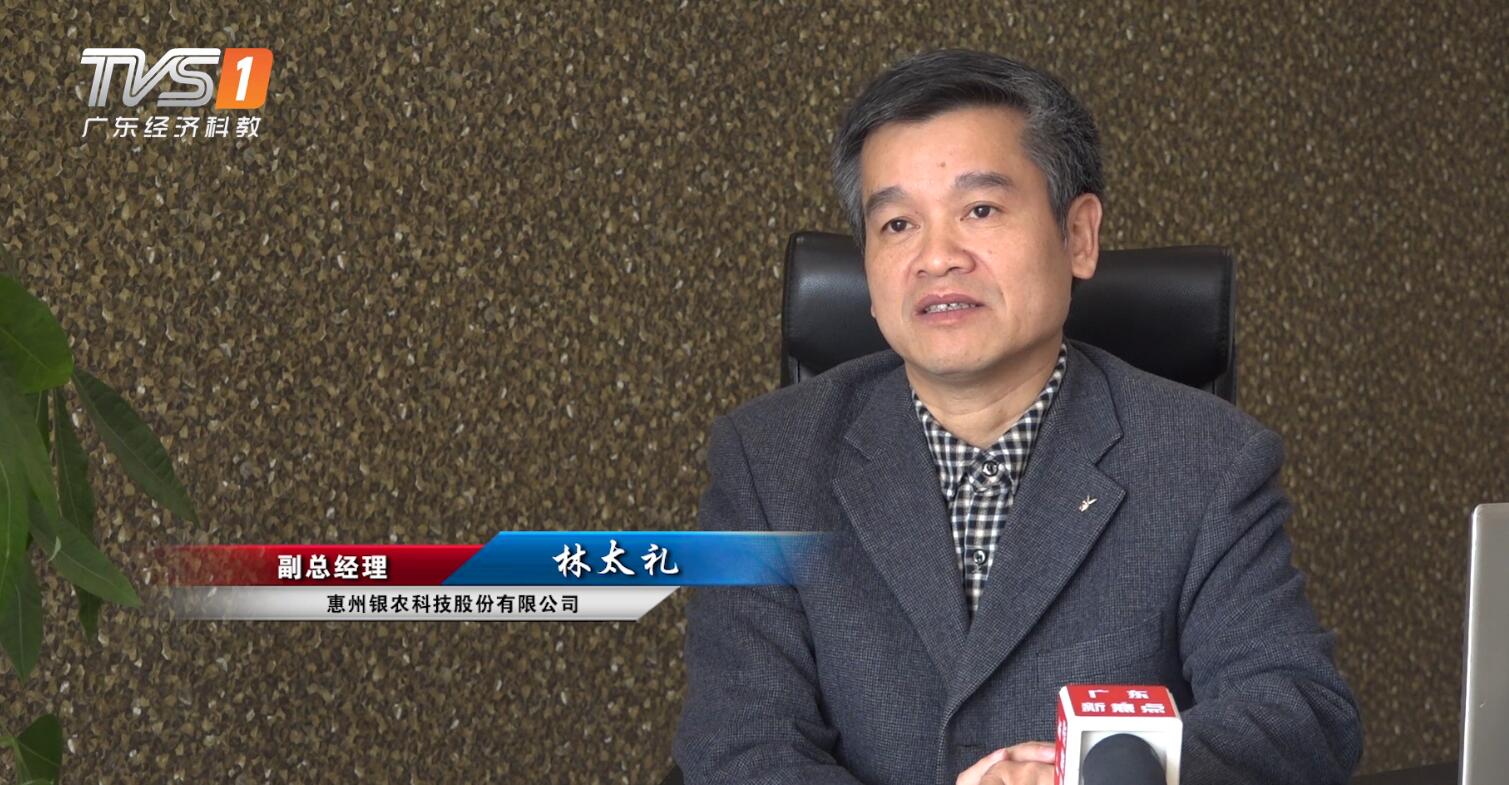 广东经济电视台新闻栏目,广东经济频道聚焦南粤