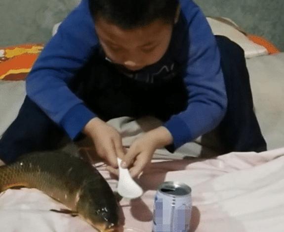 熊孩子给床垫“喂牛奶”，“牛奶床”，想想都觉得好奢侈