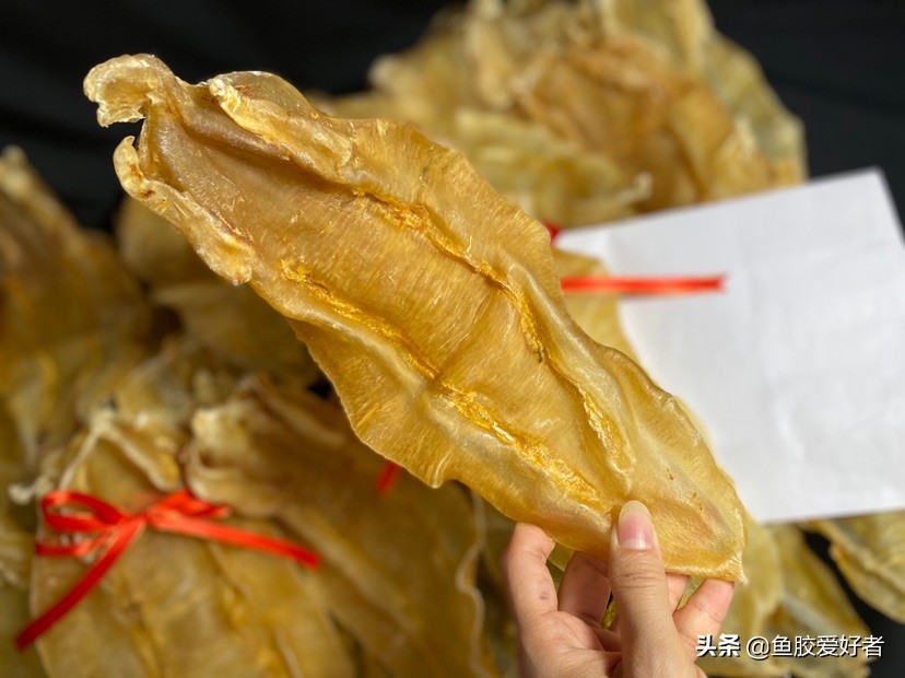 鱼胶网红推荐,今年爆款鱼胶