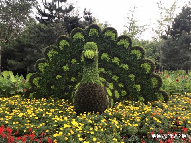 生态岛森林旅游,中国最美森林岛