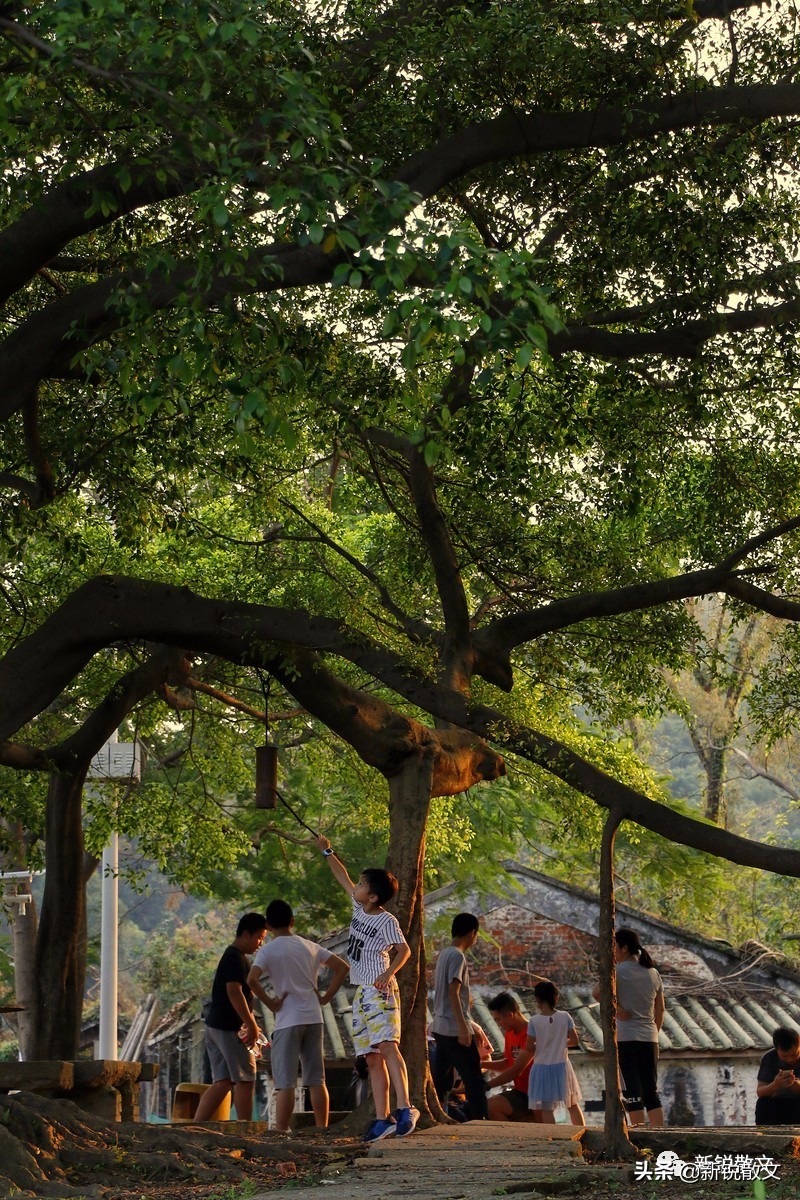 回乡遇到小学同学，听说当年经常骂架的“三王子”现在特不爱说话