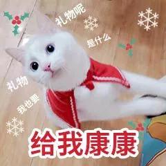 特别的银色情人节“礼物”--90后法警发明防逃脱脚镣