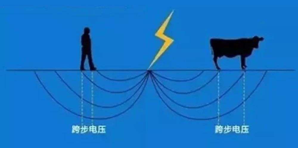 印度4男子树下避雨被闪电劈中,多名游客被雷击倒地