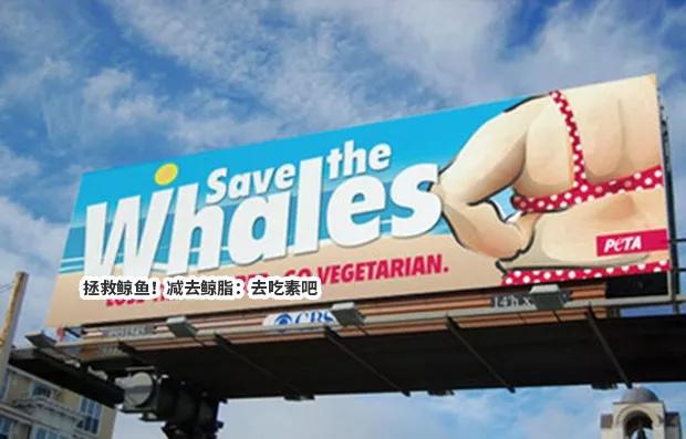 女权，LGBT，黑人，政治正确的江湖中，谁才是王者？