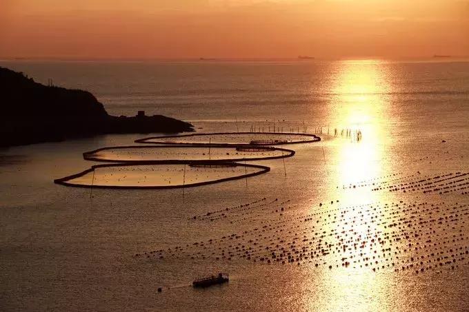 江浙沪500以内网红民宿,最适合小住的海边民宿