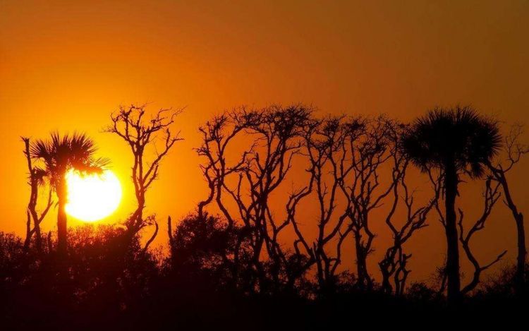 教改20年,三线以下城乡素质教育的问题和希望(原创