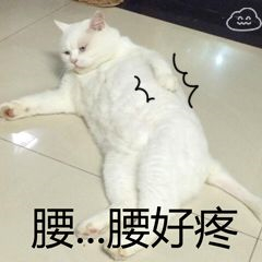 北漂求医之旅,去北京医院看病的真实感受