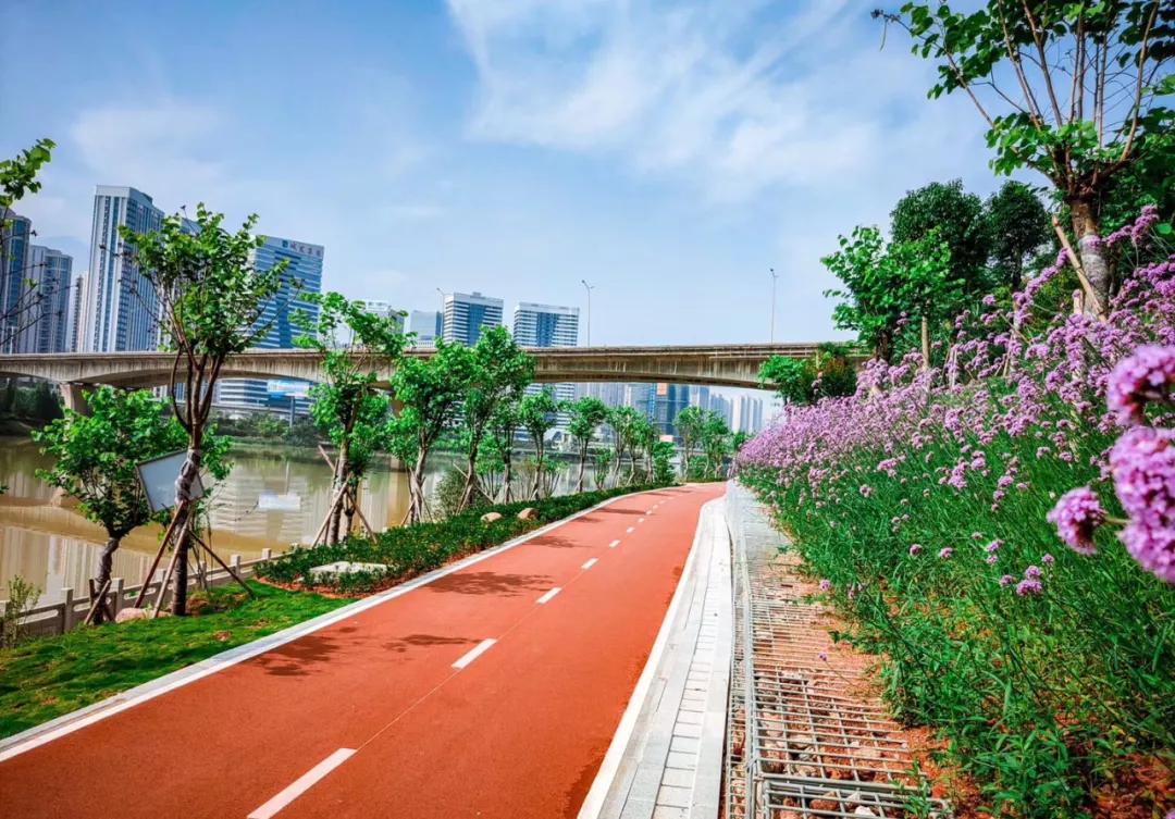 三明城市双修最新消息,三明城市双修总体规划