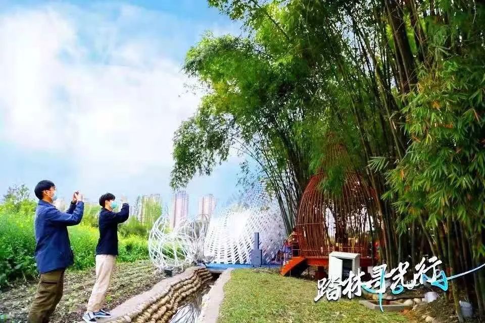 成都网红打卡地最近很火,真正的成都打卡地