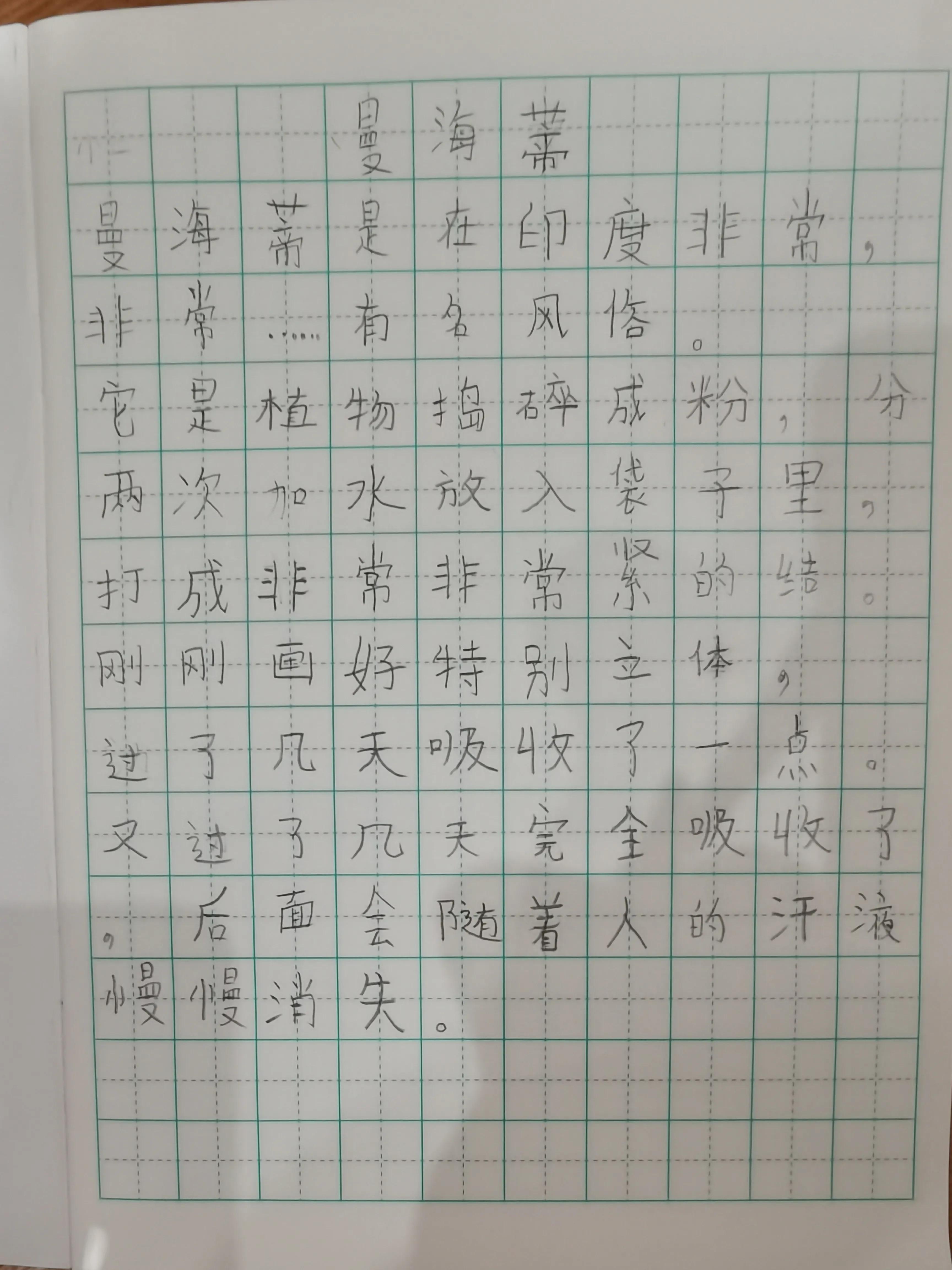 四年级我得到了什么的作文,四年级上册我得到了什么300字
