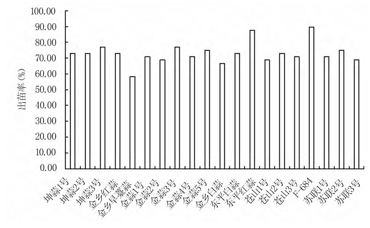 盆栽大蒜怎么吃,发芽的大蒜怎么盆栽