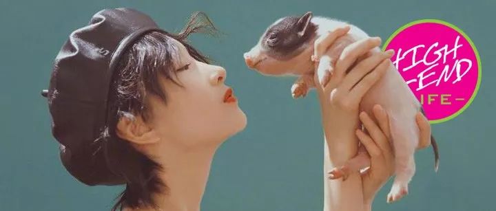 猪年元素单品有哪些,猪年限定系列