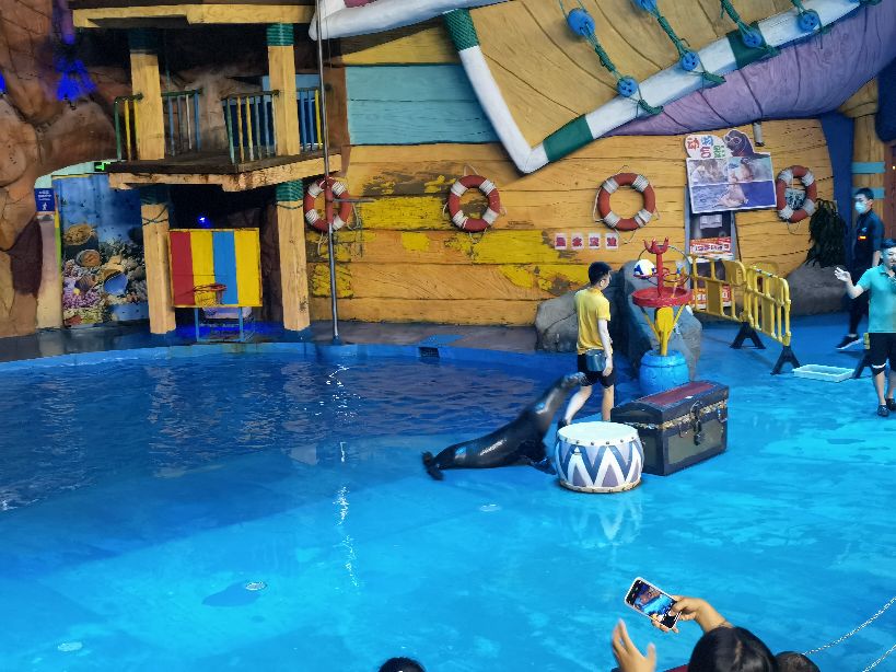 威海和厦门哪个海干净,威海的海干净美丽