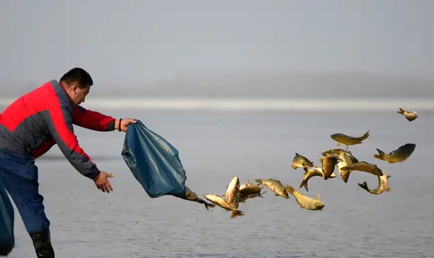 重铅找底和半水调漂有什么区别,这才是漂移的最高境界