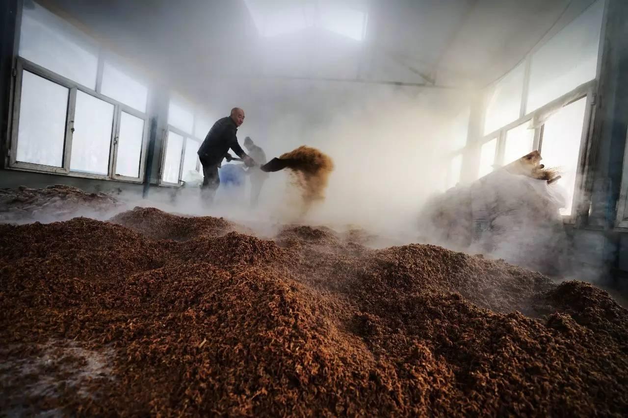 四款名酒嫡系口粮酒，价格不足百元，却被誉为“纯粮酒标杆”