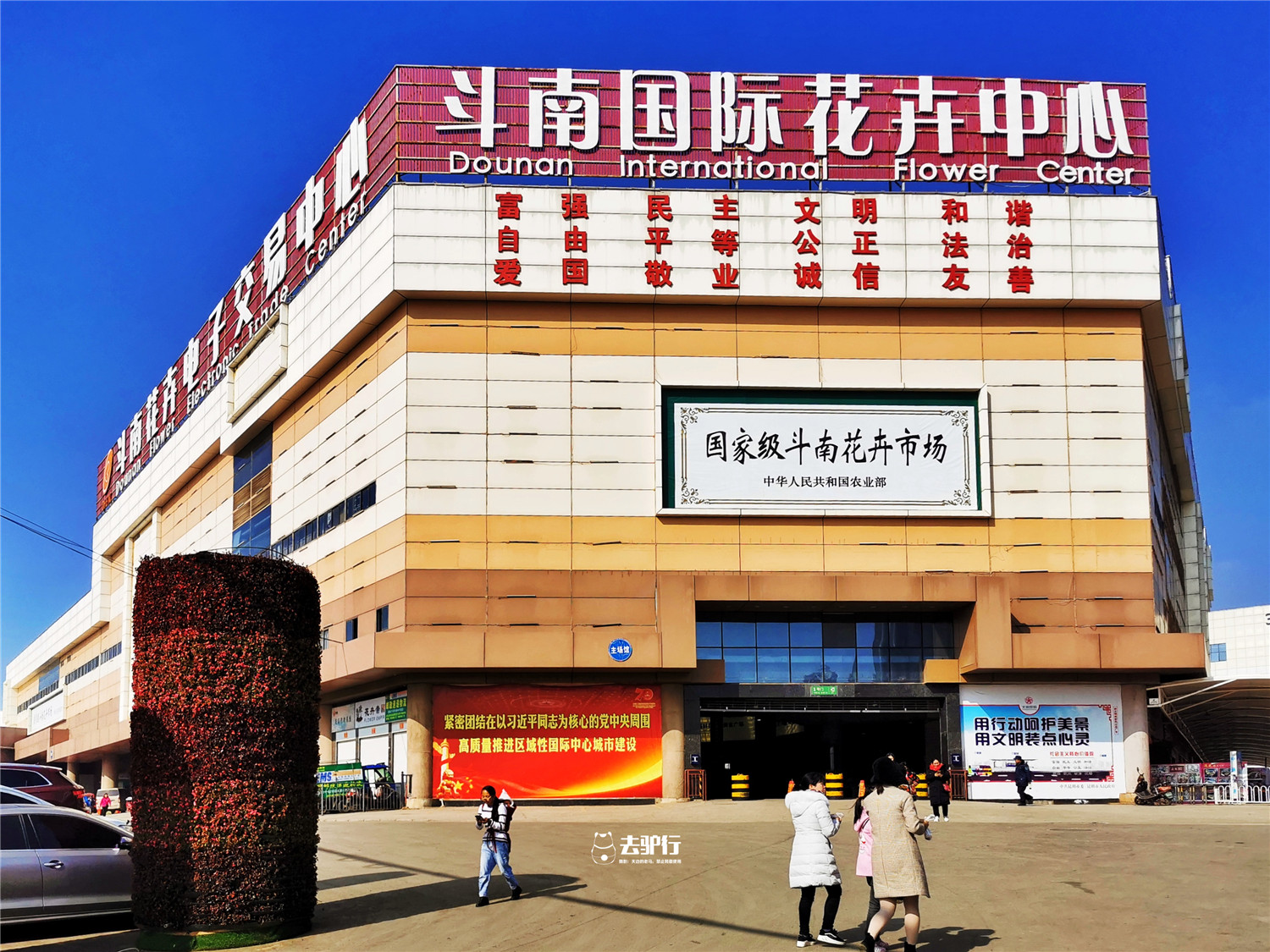 中国最大的鲜花批发市场在哪里啊,中国最大的鲜花市场