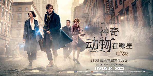 宠物取名寓意好的英文名,古灵精怪的英文名寓意