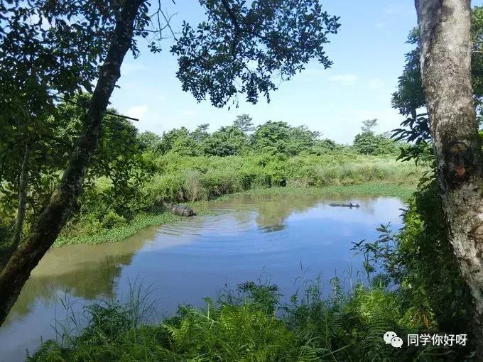 3000可以在尼泊尔玩几天,3000块玩转泰国