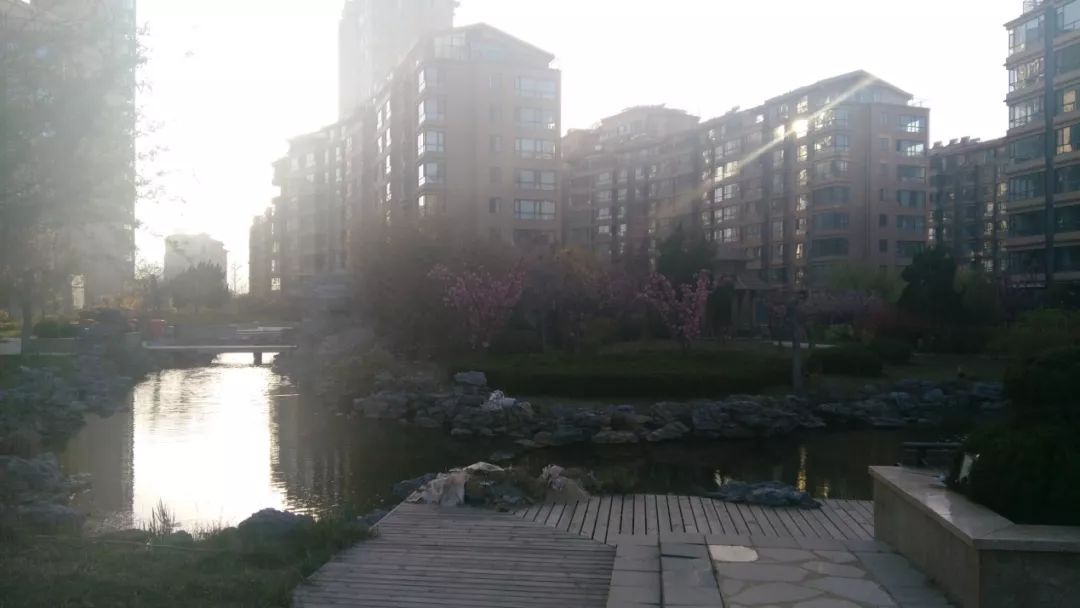 威海悦海世家二手房出售,威海悦海世家一楼带院