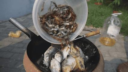 央视高清视频：东台品鲜