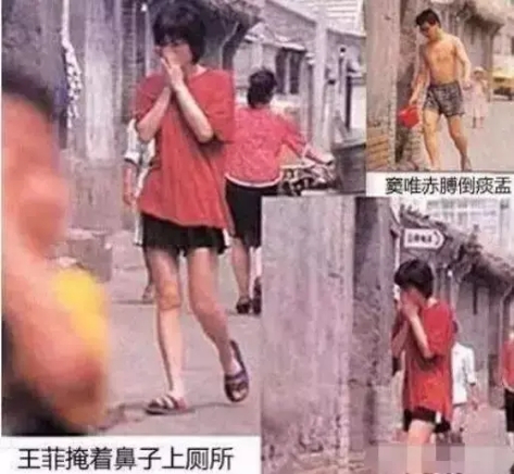 窦唯王菲离婚原因揭秘,王菲窦唯离婚时多大年纪