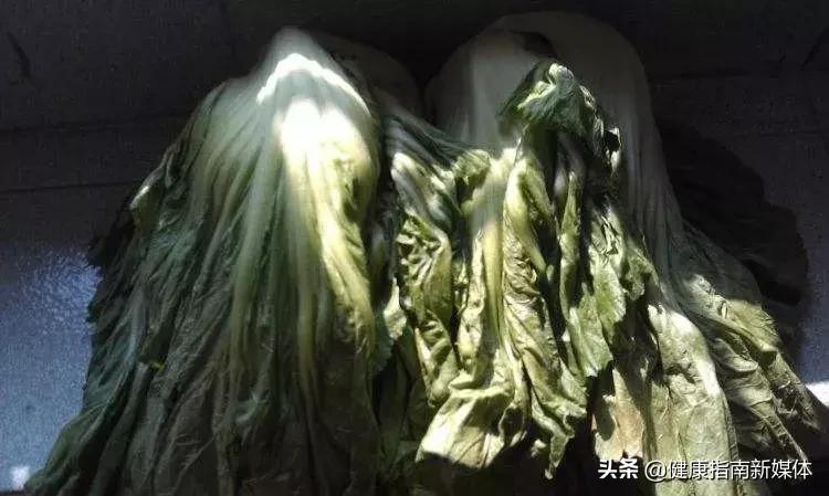 哪些蔬菜不能吃有营养,哪些蔬菜不宜食用