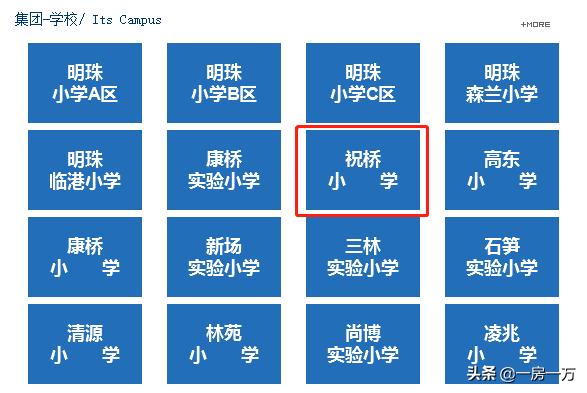 【公元2040】356w起!已明确明珠托管小学+进才系中学优质双学区