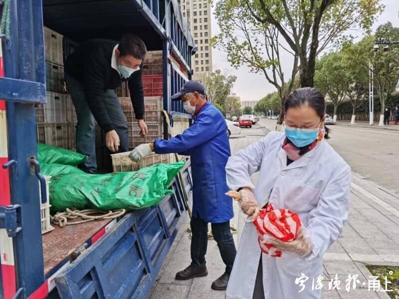 你们引领,我们追随!像张亚芬这样的道德模范,宁波还有很多