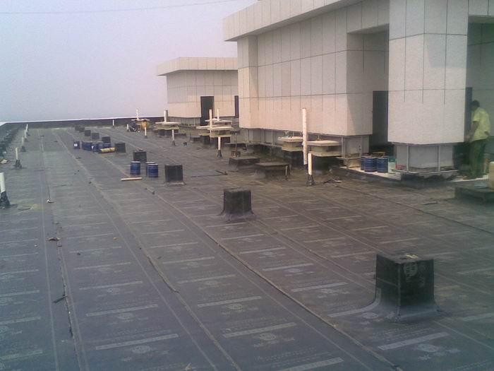 水不漏哪种质量好,水不漏选什么品牌