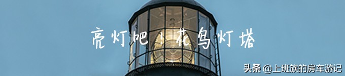 花鸟岛和枸杞岛攻略,海花岛攻略带你玩转海花岛